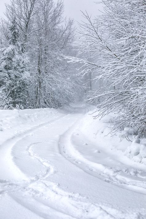 Snow Tundra Aesthetic, Snowy Kingdom Aesthetic, Snowy Tundra Aesthetic, Heavy Snow Aesthetic, Snowy Path, Snowy Terrain, Dark Forest Aesthetic, Christmas Tree Wallpaper, Weather Seasons