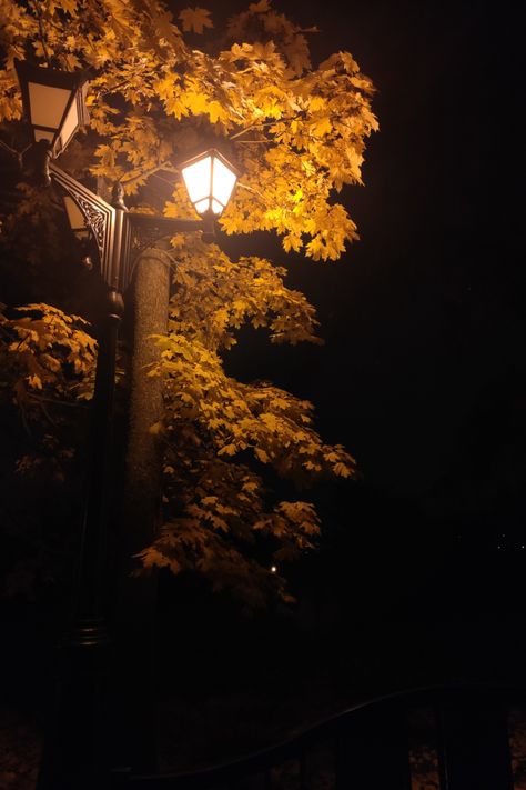 Autumn In The City, Autumn Park, Maple Leaves, Street Light, At Night, The City, Yellow