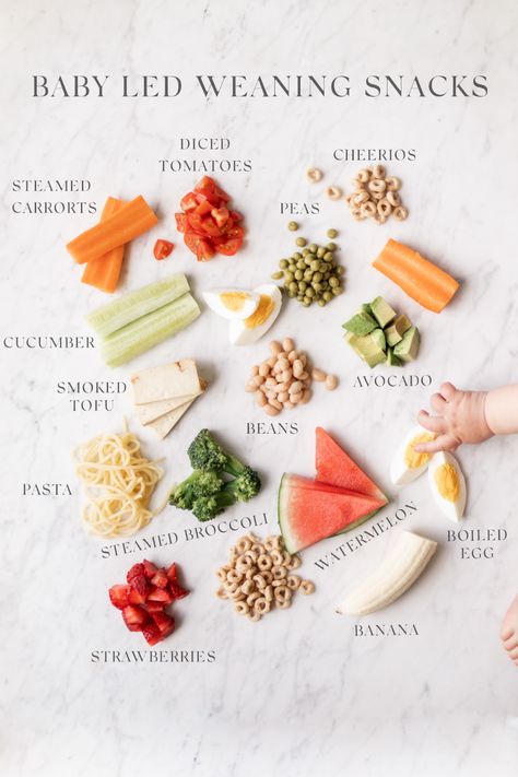 Baby Weaning Foods, Led Weaning First Foods, Baby Food Guide, Fingerfood Baby, Baby Led Weaning First Foods, Weaning Foods, Baby Led Feeding, Led Weaning Recipes, Easy Baby Food Recipes