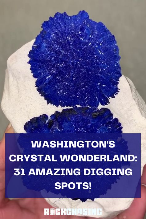 From the coastal shores to the mountain peaks, Washington state hides crystal treasures just waiting for you! 🌲💎 Explore our guide to the 31 best crystal hunting spots in Washington for 2023. Start your adventure in the Evergreen State today. Tap to learn more! 🏞️🔍 Washington State Rocks And Minerals, Washington Rockhounding, Rockhounding Washington, Rock Tumbler Diy, Crystal Hunting, Crystal Mining, Gem Hunting, Washington Beaches, Gem Hunt