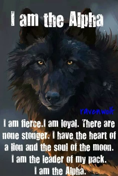 I am the Alpha of my house. Quotes Warrior, Wolf Pack Quotes, Lone Wolf Quotes, I Am The Alpha, Wolf Images, Wolf Quotes, Wolf Spirit Animal, Alpha Wolf, She Wolf