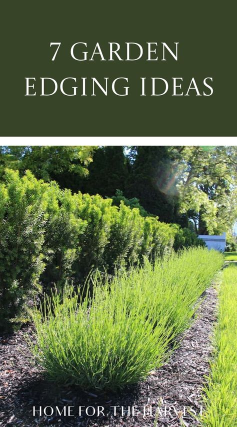 Border Landscape Design, Garden Borders Edging Flower Beds, Vegetable Garden Border, Sleeper Lawn Edging, Flowerbed Edging Ideas, Straight Garden Border, Edge A Garden Bed, Landscape Border Ideas, Garden Edges And Borders