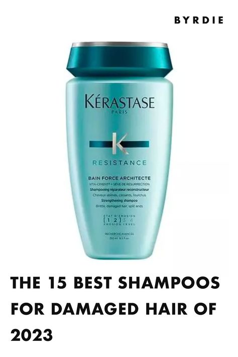 Best Shampoos for Damaged Hair Shampoo For Damaged Hair, Glass Hair, Best Shampoo, Types Of Acne, Cleansing Shampoo, Beauty Wishlist, Best Shampoos, Dry Damaged Hair, Brittle Hair