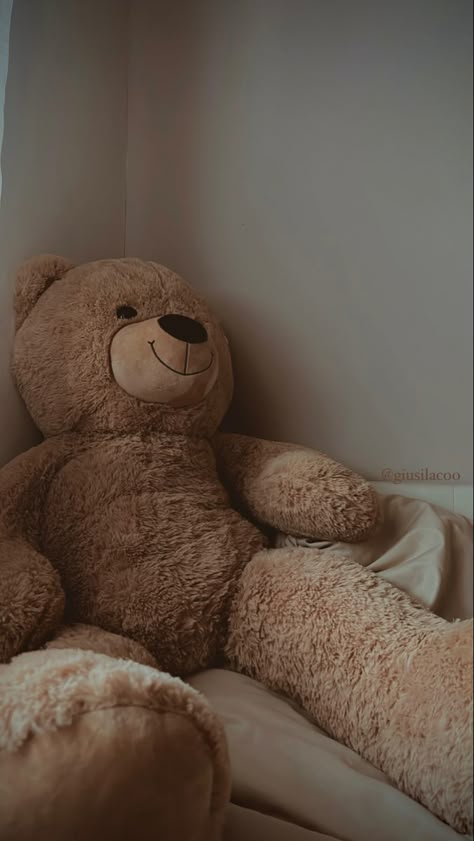 Aesthetic teddy bear in brown🤎