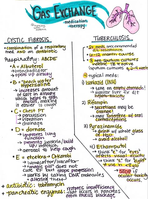 Albuterol Nursing, Gas Exchange Nursing, Adn Nursing, Charting For Nurses, Nursing School Studying Cheat Sheets, Nursing School Organization, Gas Exchange, Nursing School Inspiration, Medical Assistant Student