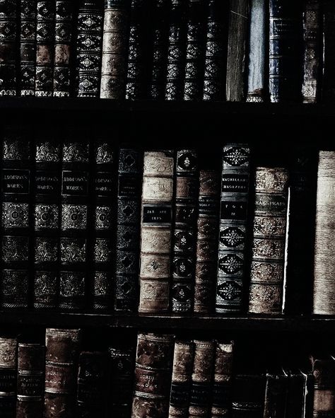 A Deadly Education Aesthetic, Dark Academia Black And White, Zodiac Academy The Awakening, A Sorcery Of Thorns, Sorcery Of Thorns, Darkest Academia, Gothic Academia, Stalking Jack The Ripper, Dark Academic