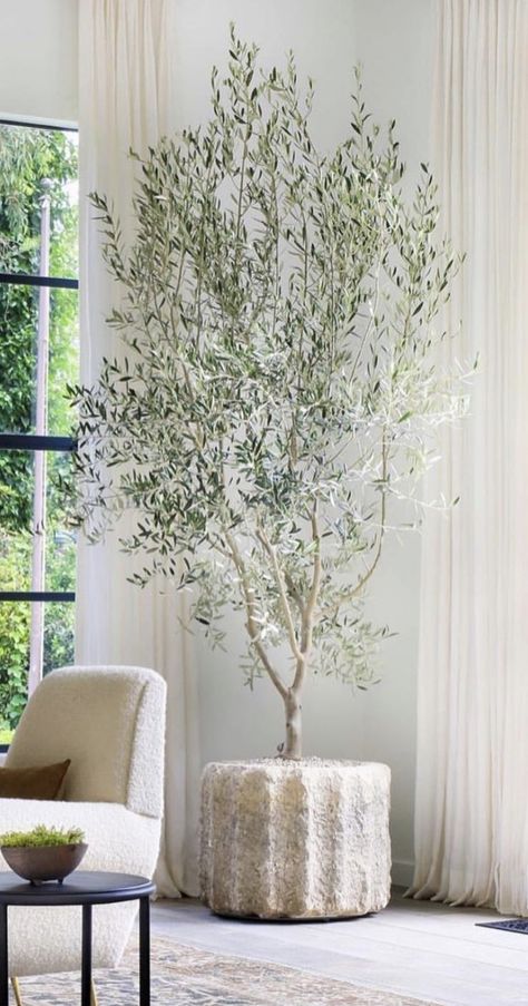 Faux Olive Trees, Tv Gallery Wall, Indoor Tree, Indoor Trees, Blogger Home, Faux Tree, Quirky Home Decor, Olive Trees, House Plants Decor