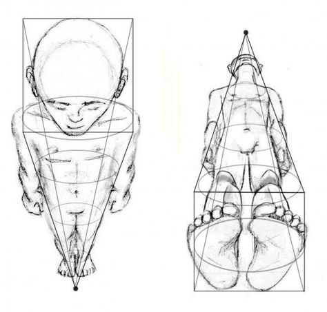 This lesson will explore perspective & foreshortening of the human figure. Perspective Drawing Lessons, Human Figure Drawing, Human Anatomy Art, Perspective Art, Figure Sketching, Perspective Drawing, Anatomy Art, Drawing Lessons, Art Tutorials Drawing