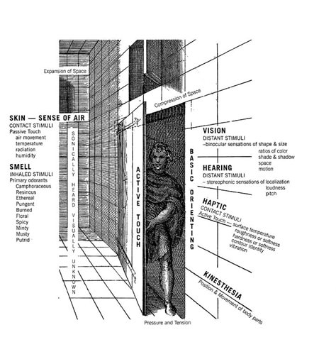 Why sensory design? | Cooper Hewitt, Smithsonian Design Museum Sensory Museum, Sensory Architecture, Site Development Plan, Sensory Design, Interactive Architecture, Architecture Section, Urban Design Diagram, Architectural Concept, Design University