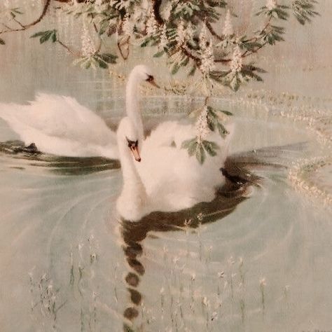 #swans #swanlake #aesthetic #aniamls Aphrodite Aesthetic, Princess Aesthetic, Romantic Art, Swan Lake, Ethereal Art, Just Dance, Swans, Green Aesthetic, Aphrodite