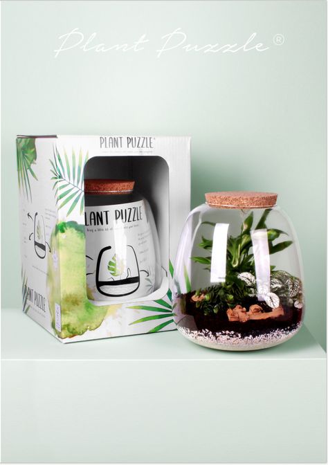 Terrarium Packaging, Graphic Designer Life, Terrarium Art, Event Tables, Inside Garden, Plant Terrarium, Terrariums Kits, Event Table, Candle Jar