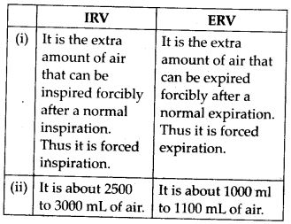 NCERT Solutions For Class 11 Biology Breathing and Exchange of Gases Topics and Subtopics in NCERT Solutions for Class 11 Biology Chapter 17 Breathing and Exchange of Gases: Section Name Topic Name 17 Breathing and Exchange of Gases 17.1 Respiratory Organs 17.2 Mechanism of Breathing 17.3 Exchange of Gases 17.4 Transport of Gases 17.5 Regulation of […]The post NCERT Solutions For Class 11 Biology Breathing and Exchange of Gases appeared first on Learn CBSE. Breathing And Exchange Of Gases Notes, Mechanism Of Breathing, Breathing And Exchange Of Gases, Class 11 Biology, Thoracic Cavity, Bio Notes, Herbs List, Chemistry Education, The Respiratory System