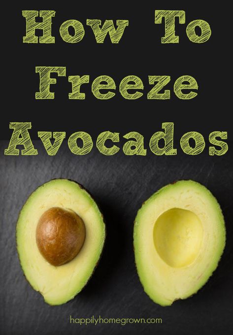 Can You Freeze Avocado, Freezing Food Guide, Freeze Avocado, Freezing Fruit, Preserving Herbs, Canning Vegetables, Home Decor Storage, Homemaking Tips, Fresh Avocado