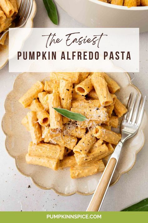 Pumpkin Alfredo Pasta is smooth, creamy, and ready in just 20 minutes. Featuring a silky pumpkin sauce with cozy spices, you'll love this simple dish that's perfect for fall! Slow Cooker Recipes Turkey, Pumpkin Alfredo Pasta, Thanksgiving Pasta, Pumpkin Alfredo, Thanksgiving Favorites, Easy Baked Ziti, Pasta Recipes Alfredo, Pumpkin Sauce, Pumpkin Pasta