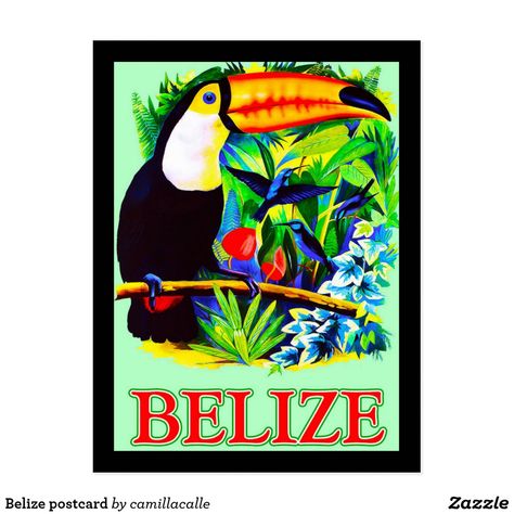 Belize postcard Havana Travel, Costa Rica Art, Posters Decor, Anderson Design Group, Retro Travel Poster, Costa Rica Travel, Havana Cuba, Vintage Poster Art, Photo Vintage