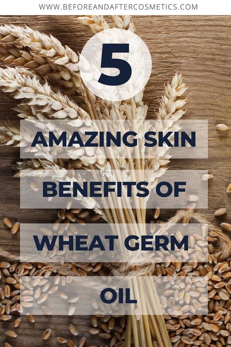 Wheat Germ Benefits, Wheat Germ Oil Benefits, Popular Skincare, Face Mask For Pores, Popular Skin Care Products, Poor Circulation, Diy Skin Care Recipes, Organic Shampoo, Wheat Germ