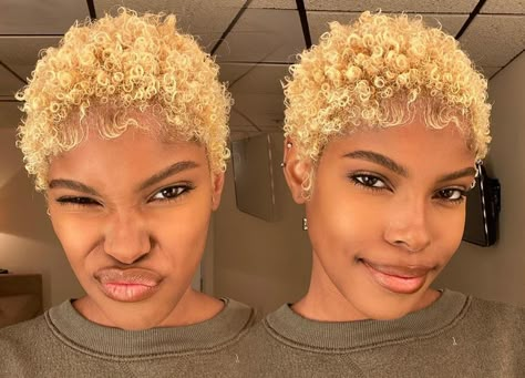 Blonde Natural Short Hair, Blonde Haircut Black Women, Blonde Short Hair Black Women, Low Cut Hairstyles, Tapered Natural Hair Cut, Big Chop Natural Hair, Short Dyed Hair, Hair Website, Short Natural Curly Hair