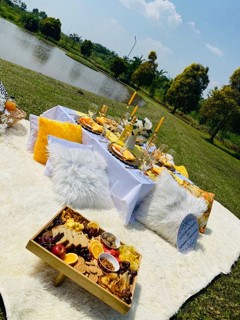 Birthday Picnic Ideas For Couples, Floating Brunch, Lux Picnic Ideas, Picnic Amigas, Luxury Picnic Setup Birthday, Luxury Picnic Setup For Two, Extravagant Picnic, Picnic Business, Strawberry Picnic