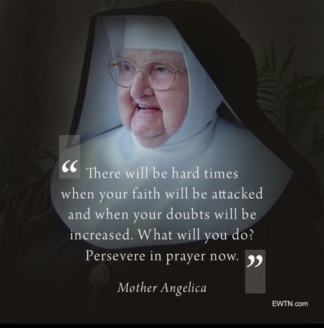 #WordsofWisdom from a woman who knew tremendous suffering. She spent her life persevering in faith and taught us to do the same! Quote Of Love, Mother Angelica, Trust In Jesus, Trust In Him, Nothing To Fear, Saint Quotes, Divine Mercy, Catholic Quotes, My Gift