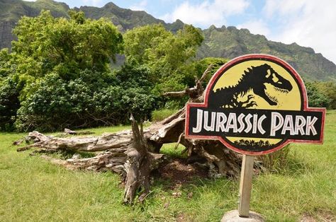 Tons of your favorite movies and TV shows have been filmed on Oahu. Here’s your chance to see the real scenes behind the camera for shows like Lost and Hawaii 5-0. Or, if you prefer movies, Pearl Harbor and Jurassic Park? Kualoa Ranch Movie Tours offers enough to satisfy every movie rat in your family! #KualoaRanch #MovieTour #Oahu #Oahu #Hawaii #OlaProperties #BookDirect Cheap International Travel, Hawaii Culture, Honey Moon Ideas, Oahu Activities, Kualoa Ranch Hawaii, Hawaii Trip Planning, Things To Do In Oahu, Kualoa Ranch, Movie Sites