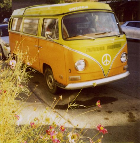 yellow Combi Volkswagen, Combi Vw, Vw Vintage, Vw Vans, Hippie Van, Vw T6, Yellow Car, Volkswagen Transporter, Vw Bugs