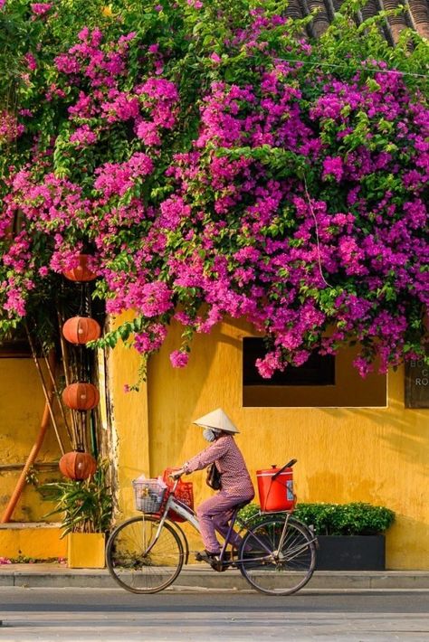 Alden Anderson seeks to highlight the bold colors of Hoi An, Vietnam, juxtaposed with the daily life of the locals in his collection “Colors of Hoi An”. #hoian #vietnam #yellow #travelphotography #asia #oldtown #unesco #seasia #traveldestination #flowers #bougainvillea #purple #pink Vietnam Artwork, Hoi An Old Town, Vietnam Photography, Vietnam Trip, Chicago Aesthetic, Vietnam Voyage, Hoi An Vietnam, Vietnam Art, Hoi An