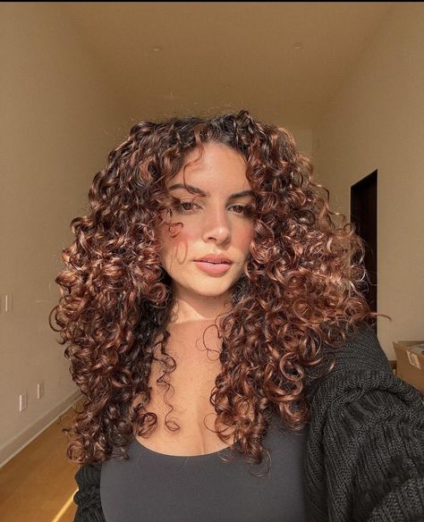 Reddish Brown Highlights Curly Hair, Cinnamon Curly Hair Color, Auburn Hair With Black Roots, Auburn Brown Hair Curly, Ginger Brown Highlights Curly Hair, Copper Red Highlights Curly Hair, Red Pintura Highlights Curly, Auburn Curly Hair Color, Brown Hair With Red Highlights Curly