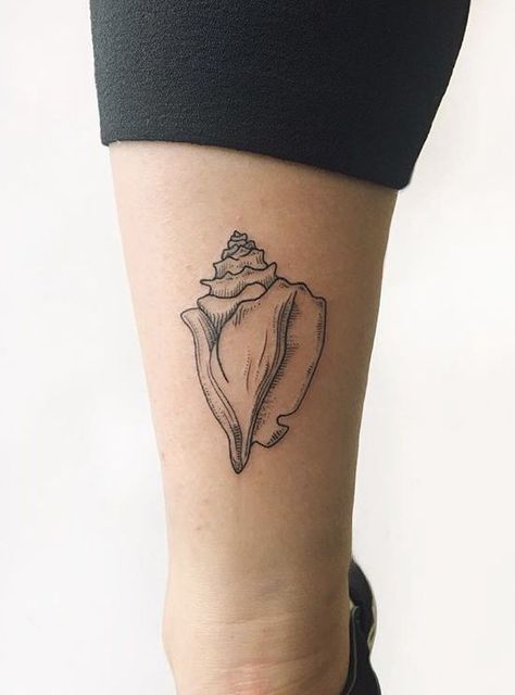 Conch Shell Tattoo, Shell Tattoo, Florida Tattoos, Hawaii Tattoos, Seashell Tattoos, Shell Tattoos, Petit Tattoo, Tattoos Pictures, Man Tattoo