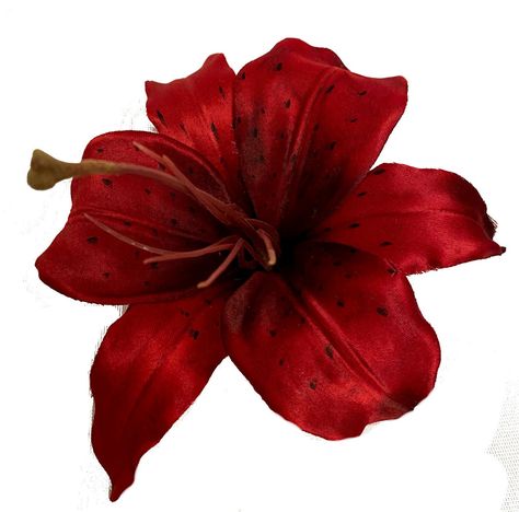 This is a beautiful 5 inch large lily hair flower. This burgundy bloom has an alligator clip on the back. This is a big flower that is sure to gain attention. So bold, so beautiful! Hair Flower, Genoa, Tiger Lily, Lily Flower, Dark Red, Clip On, Alligator, Lily, Red