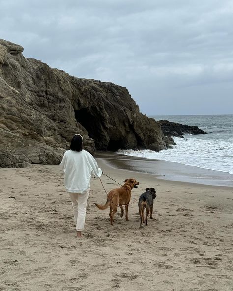 beach, ocean, coastal, malibu, summer, cute gir walk, dogs, aesthetic Ocean Living Aesthetic, Dog On Beach Aesthetic, Coastal Lifestyle Aesthetic, Beach Living Aesthetic, Dog Beach Aesthetic, Walking Dogs Aesthetic, Coastal Life Aesthetic, Beach Walks Aesthetic, Soft Aesthetic Pictures