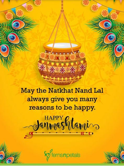 Janmashtami Quotes In English, Happy Janmashtami Quotes, Janmashtami Quotes, Krishna Jayanthi, Janmashtami Images, Krishna Birthday, Happy Krishna, Janmashtami Wishes, Happy Janmashtami