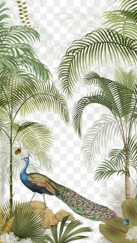 Indian Peacock Painting, Peacock Background Wallpapers, Indian Background Wallpapers, Tropical Art Wallpaper, Indian Art Wallpaper, Peacock Background, Peacock Png, Indian Wallpaper, Peacock Watercolor