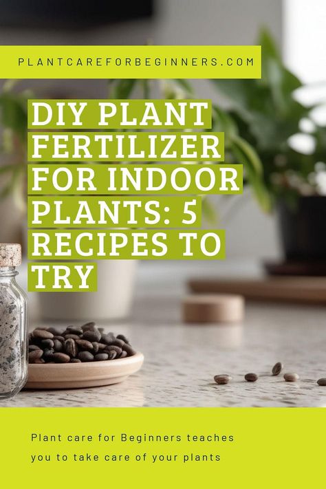 Natural Plant Fertilizer How To Make, Diy Plant Food For Indoor Plants, Natural Indoor Plant Fertilizer, Snake Plant Fertilizer, Homemade Houseplant Fertilizer, Fertilizing House Plants, Diy Indoor Plant Food, Homemade Plant Food For Indoor Plants, Homemade Fertilizer For House Plants