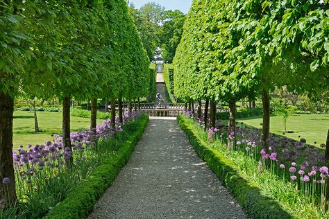 dam images decor 2014 07 garden allees garden allees 01 buscot park - pleached hornbeam trees Buscot Park, Pleached Trees, Shade Tolerant Plants, Dallas Arboretum, Longwood Gardens, Formal Garden, Formal Gardens, Outdoor Landscaping, Garden Landscape