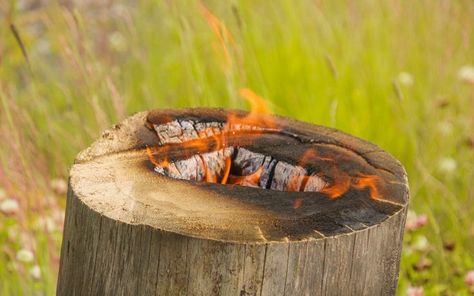 Is Burning a Tree Stump Safe? - Should you burn out a tree stump? Tree stumps are not easy to remove; many of the methods used can take quite a long to achieve just a small result.  Read more with link below! https://www.backyardcaring.com/is-burning-a-tree-stump-safe/ Stump Out, Removing Tree Stumps, Tree Stumps Diy, Tree Stump Removal, Tree Stump Ideas, Stump Ideas, Garden Outdoor Ideas, Stump Removal, Return Of Xander Cage