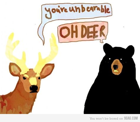 I see what you did there Bear Jokes, Bear Puns, Grin And Bear It, Funny Deer, H Words, Bad Puns, Animal Humor, Play On Words, Silly Jokes