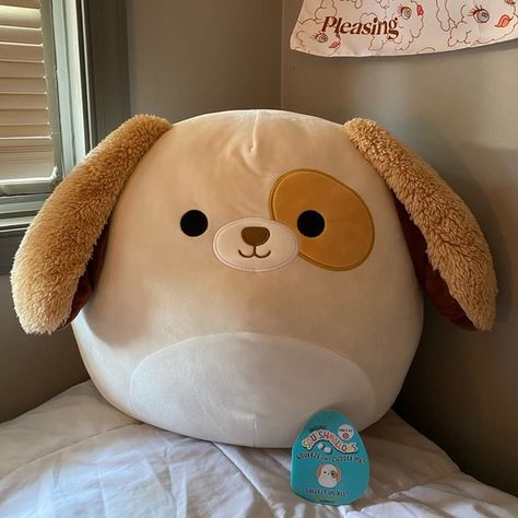 16 inch Harrison Squishmallow Squishmallows 16 Inch, 16 Inch Squishmallow, Giant Squishmallow, Squishmallows Big, Squish Mallow, Creative Bulletin Boards, Squish Mellow, Giant Octopus, Cute Squishies