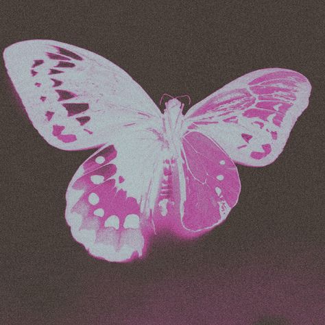 Butterfly projects | Photos, videos, logos, illustrations and branding on Behance Graphic Butterfly Design, Butterfly Effect Aesthetic, Butterfly Pfp, Butterfly Graphic Design, Mae Core, Summer Newsletter, Lock Screen Aesthetic, Aesthetic Band, The Art Of Noticing