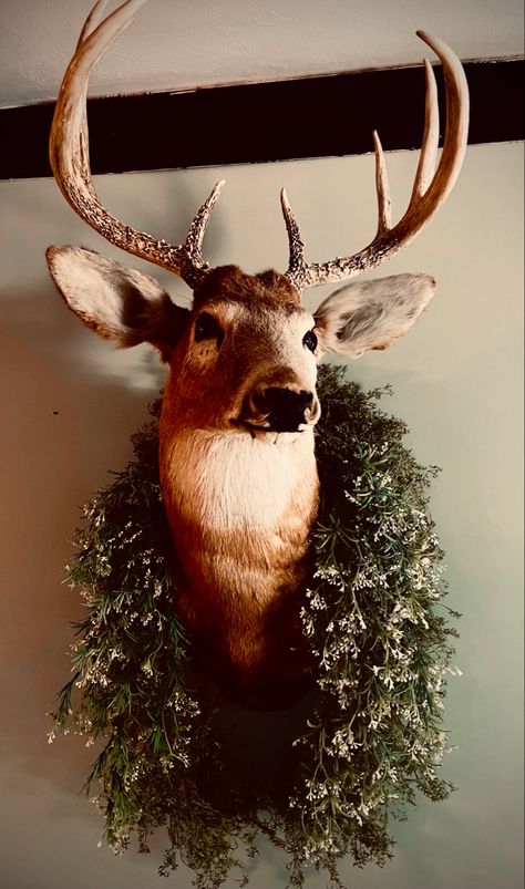 Tasteful Deer Head Decor, Deer Head Aesthetic, Deer Head Display Ideas, Deer Head Wall Decor Ideas, Deer Heads On Wall Ideas, Decorated Deer Head, Gallery Wall With Deer Mount, Deer Mount Above Fireplace, Dear Mount Decor