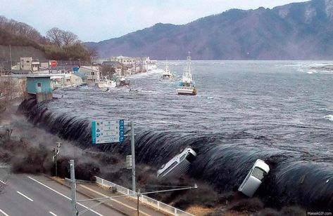 Tsunamis | Maremotos Tsunami Waves, Monte Fuji, Wild Weather, Forces Of Nature, Force Of Nature, Natural Disaster, Vicks Vaporub, Shiga, Fukushima