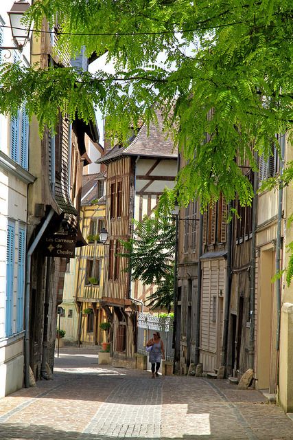 It's a beautiful world — Rue de l'Ancien Courrier, the oldest street in... Troyes France, Beautiful France, Travel France, Cozy Spaces, Street Scenes, Macedonia, France Travel, Places Around The World, Beautiful Scenery