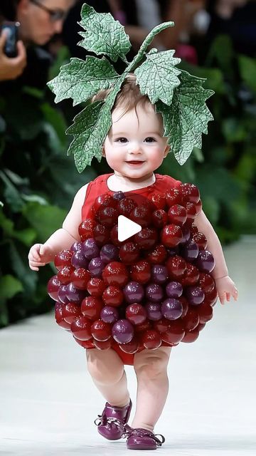 Animals Video, Baby Animal Videos, Anne Geddes, Fashion Diary, Dress Up Day, Fashion Baby, Cuteness Overload, Animal Gifs