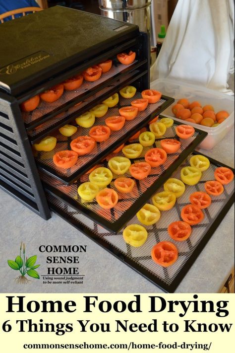 Home Food Drying - 6 Things You Need to Know to Dehydrate Food at Home Dehydrator Recipes Fruit, Food Drying, Fruit Drying, Dehydrating Food Storage, Food Dehydration, Food Dehydrators, Dehydrated Vegetables, Canning Food Preservation, Canned Food Storage