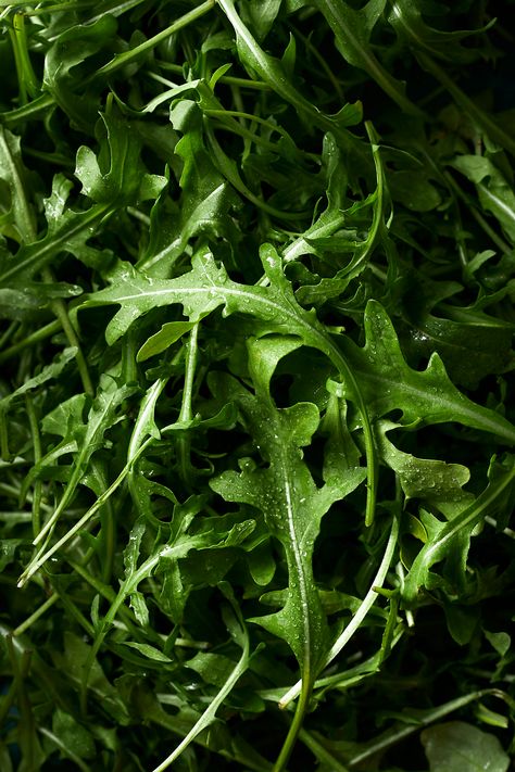 Food Photography Ingredients, Natural Food Photography, Food Texture Photography, Food Styling Photography Inspiration, Food Ingredients Photography, Vegetable Aesthetic, Organic Food Photography, Veggies Photography, Green Food Photography