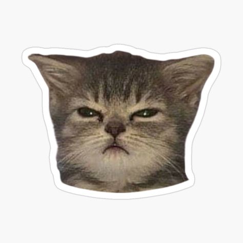 Happy Cat Sticker, Funny Cats Stickers, Cat Face Sticker, Angry Cat Mood, Cat Cute Sticker, Sticker For Print, Funny Sticker Ideas, Mad Sticker, Gatos Stickers