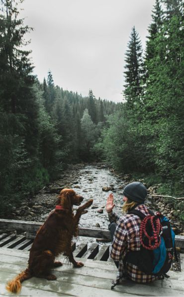 Hiking + Dog Camping With Dogs, Festival Camping, Hiking Dogs, Adventure Gear, Two Dogs, Tent Camping, Mans Best Friend, Outdoor Adventure, In The Woods