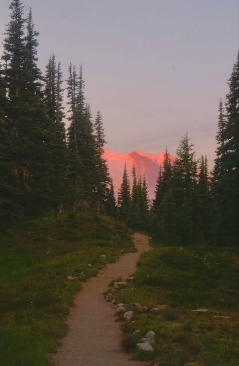 #pnw #hike Cozy Pnw Aesthetic, Sunrise Hike Aesthetic, Pacific Northwest Photography, Pnw Summer Aesthetic, Adventure Astethic, Pacific Northwest Wallpaper, Kaylee Core Aesthetic, Pnw Core, Pnw Scenery