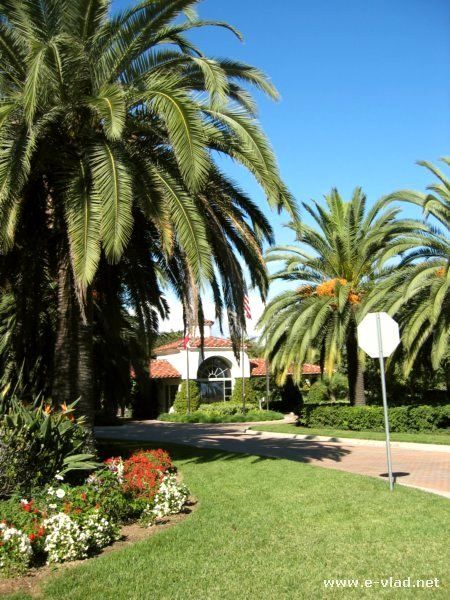 Camarillo, California - Beautifully groomed palm trees at the Spanish Hills Country Club entrance | TouristBee Club Entrance, Angeles Aesthetic, Oxnard California, Camarillo California, Los Angeles Aesthetic, Ventura California, California Homes, Laguna Beach, Hill Country