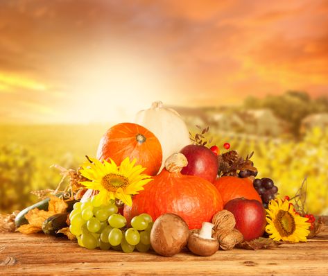 Church Harvest Festival, Breath Of Heaven, Thanksgiving Fruit, Autumn Pictures, 10 Healthy Foods, Blue Harvest, Thanksgiving Background, Worship Videos, Autumn Sun