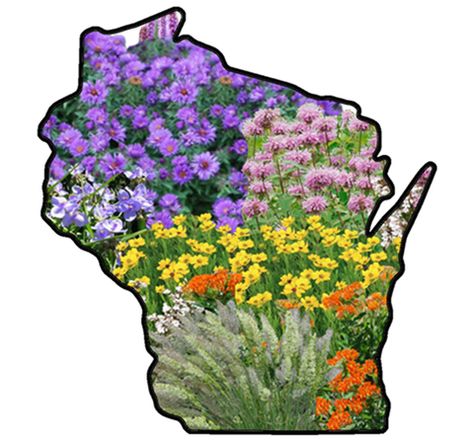 Wisconsin Native Plant Gardens – My Home Park Wisconsin Landscaping Ideas, Wisconsin Garden, Native Plant Landscape, Flower Garden Plans, Native Gardens, Native Plant Gardening, Shade Perennials, Pollinator Garden, Native Garden